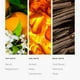 thumbnail image 4 of Perfume Aroma360 Purple Neroli, pimienta y ámbar 100 ml, 4 of 7