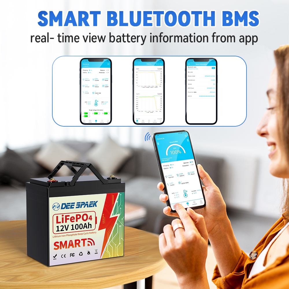 12V 100Ah Mini Lithium LiFePO4 Battery Bluetooth,for RVs,Solar,Marine,Boat,Trolling Motor,Camping,DEESPAEK Group 22NF Deep Cycle Batteries
