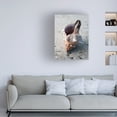 thumbnail image 3 of Elena Ray 'Gifts Of The Shore II' Canvas Art, 3 of 3
