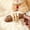 10 Pack-WD6153, variant on 10 Pack Of Fix Your ’s Health Natural Fishbone Catnip Silvervine Chew Toy Multi- Choices Keep Cats Interested Ingredients