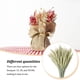 thumbnail image 3 of Ramo seco de flores secas naturales Injueey 50 Uds decoración para fiesta de boda, 3 of 6