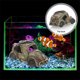 thumbnail image 4 of Adornos para acuario, imitación de resina, suministros para pecera, accesorios, decoraciones, escondite, piedra, 4 of 5