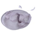 thumbnail image 4 of Fashion Wedding Women Fascinator Penny Mesh Hat Ribbons And Feathers Party Hat, 4 of 5