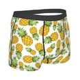 thumbnail image 4 of Haiem Pineapple Men's Boxer Briefs, Every Day Comfort Stretch Cotton Moisture-Wicking Underwear-Small, 4 of 8