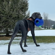 Jolly Pets Puncture Resistant Teaser Ball with Inside Ball, Blue
