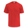 thumbnail image 1 of ADLT T-SHIRT 100 CTN-M305, 1 of 1