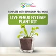thumbnail image 4 of Venus Flytrap Live Plant Kit with Carnivorous Plant Food in 2.5" Glass Cube – Indoor Bug-Eating Plant with Tweezers & Sphagnum Moss – Educational Gift Fly Trap, 4 of 7