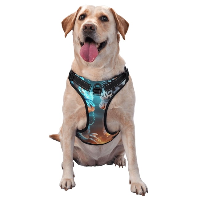 Fotbe Blue Dragon And White Tiger Arnés para Perro con Estampado –Chaleco Ajustable Acolchado con Asa de Control para Perros Grandes-X-Large