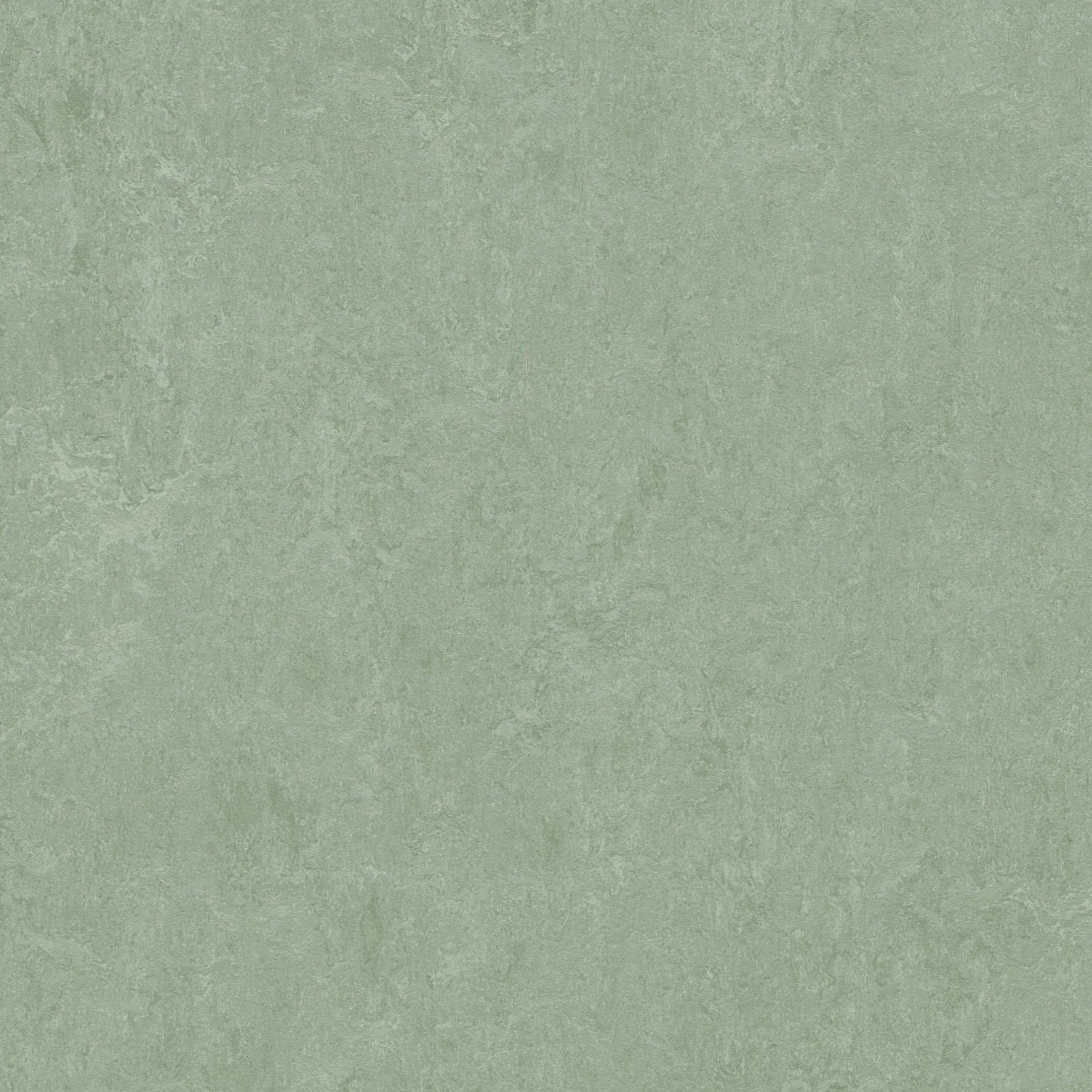 Forbo Flooring Marmoleum Cinch Loc Seal 11.81" x 11.81" Laminate Square in Sage 6.78 Sq ft