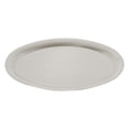 thumbnail image 1 of HEALEEP Metal Food Plate White Stainless Steel Multi-purpose for Home and Restaurant 1Pack, 1 of 8