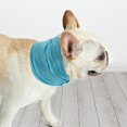 thumbnail image 2 of Collar de perro Yinane Collar del verano S M L, 2 of 8