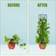 thumbnail image 3 of 2 uds 36x10cm enrejado para plantas trepadoras, soporte para plantas trepadoras con 20 lazos para plantas de interior para maceta de jardín plantas trepadoras de flores de interior (negro) TUNC Sencillez, 3 of 5