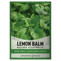 Lemon Balm Seeds
