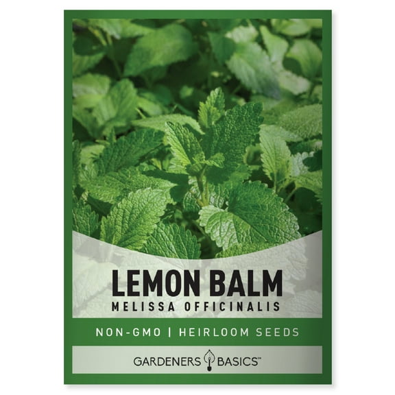 Lemon Balm Seeds