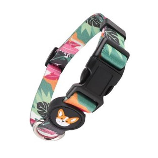 Collar Para Perro Pet It! Modelo Quebec Mediano 33-53 cm