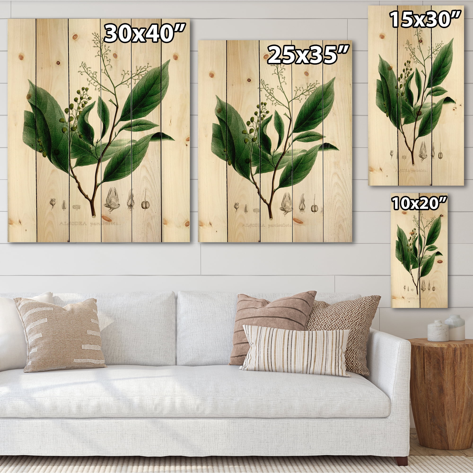 Designart 'Ancient Brazilian Plant II' Traditional Print on Natural Pine Wood