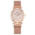 thumbnail image 3 of Resicozy Womens Watches Quartz Waterproof Watch for Women Casual Fashion Wrist Watches with Stainless Steel Mesh Rose Gold, 3 of 5