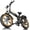 Black, variant on GOKEEP X20 Adults Electric Bike, 750W Motor, 48V 21.3AH Removable Dual Lithium Battery, 20" x 4.0 Fat Tire Folding E-Mountain Dirt Bike, UL2849 Certified, Gray