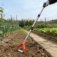 View all media