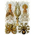 thumbnail image 2 of Fab Funky 26x32 Gold Ornate Wood Framed with Double Matting Museum Art Print Titled - Octopus and squid, 2 of 4