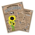 thumbnail image 3 of The Jonsteen Company 1 Sunflower/ Helianthus Annuus Flower Seed, 3 of 5