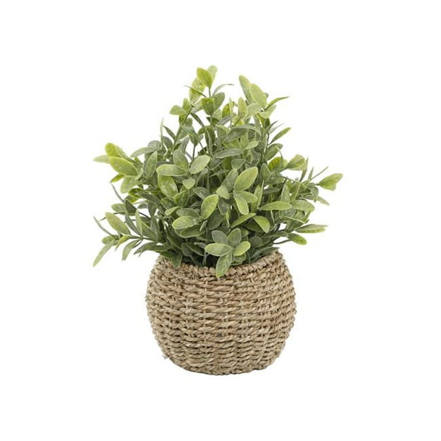 Flora Bunda CS5102E-BRN Feuille de Thé dans 6' Panier