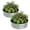 Silver, variant on Petyee 2x2x1FT Round Galvanized Raised Garden Bed,Outdoor Metal Patio Planter Box for Vegetables, Flowers and Plants, Rust-Resistant,Silver