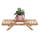 thumbnail image 4 of Estante de Madera para Macetas Plegable de 2 Capas ANGGREK  Otros, 4 of 8