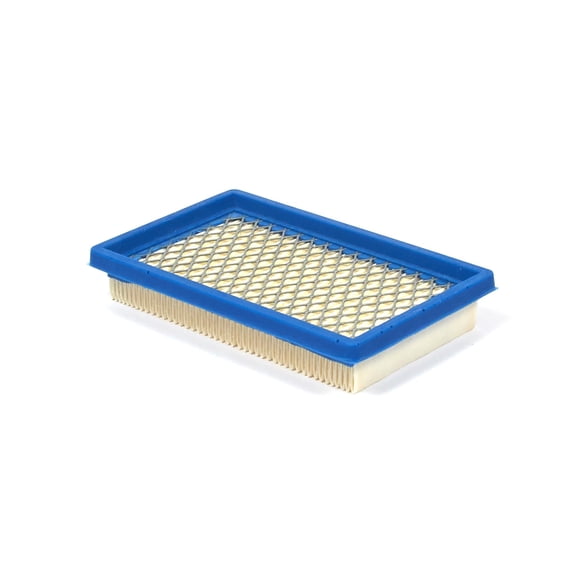 Oregon Air Filter