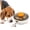 Orange, variant on All For Paws Interactive Dog Puzzle Toy & Slow Feeder – Treat Dispenser Toy for Puppy IQ Training & Mental Stimulation, UFO, Beginner Level
