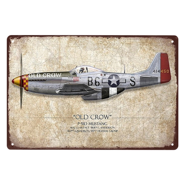 (TP-7874) Pintura hojalata rectangular 30*20 cm plano serie Old Crow Fighter Still Life