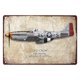 thumbnail image 1 of (TP-7874) Pintura hojalata rectangular 30*20 cm plano serie Old Crow Fighter Still Life, 1 of 9