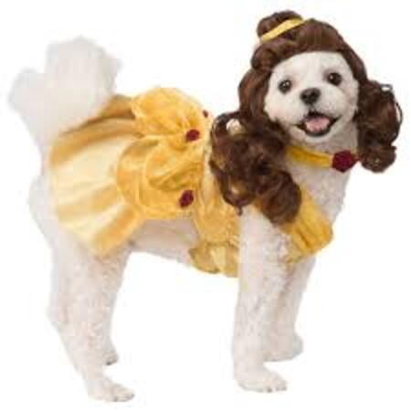 Belle Dog Costume - Beauty and the Beast-S