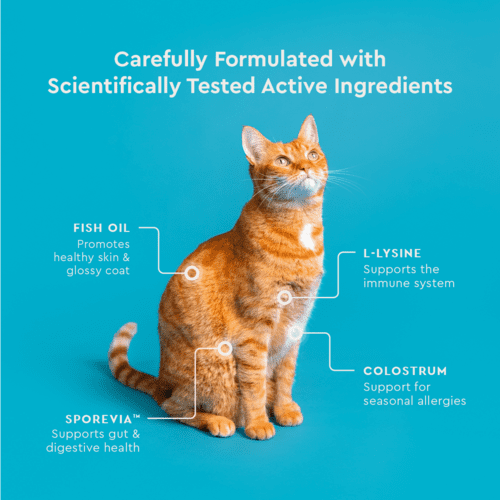 Vet IQ Allergy Pro+ Health Supplement for Cats, Chicken Flavored Crunchy Chews, Approx. 30 Day Supply