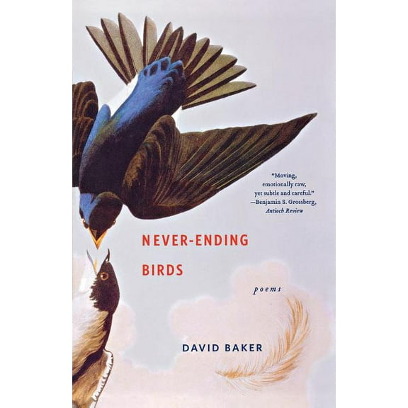 Never-Ending Birds: Poems, (Paperback)