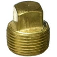 thumbnail image 2 of Brass Plug, Hayward, 3/4" Male Pipe Thread, 2 of 3