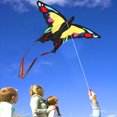 thumbnail image 1 of Animal Kite, Single Line  Kite Heat Transfer Printing  For Park, 1 of 8