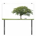 thumbnail image 3 of Tree Headboard, Bench Under Majestic Tree Looks Like Solitude in Habitat Environment Design, Upholstered Decorative Metal Bed Headboard with Memory Foam, Twin Size, Green White, by Ambesonne, 3 of 4