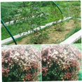 thumbnail image 5 of Filet de Protection pour Plantes Filet Anti-Oiseaux pour Arbres Fleurs Fruits 2x5M Semis, Filet de Protection pour Plantes, 5 of 5