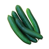 Burpee Garden Center Walmart Com