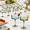 Green, variant on Clear Plastic Ribbed Disposable Martini Glasses, 10oz, 24 Count