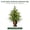 B Style-60cm/24in, variant on 24" Prelit Artificial Christmas Tree with String Lights, Faux Fir Christmas Tree in Decorative Woven Basket, Realistic Potted Tree for Indoor Outdoor Holiday Decor
