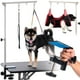 thumbnail image 1 of Conjunto de Brazo para Mesa de Aseo Canino con Hamaca - Altura Ajustable, 1 of 8