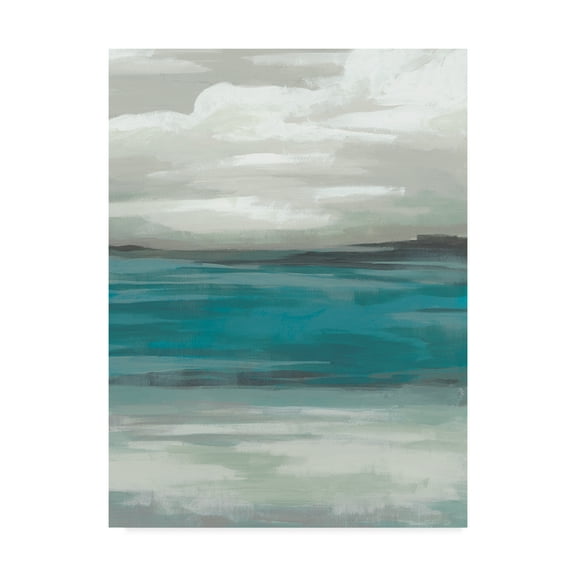 Storm Front I' Canvas Art by June Erica Vess