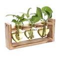 thumbnail image 2 of PUREKKI 2025 New Popular Loves Light Bulb Vase, 2 of 6