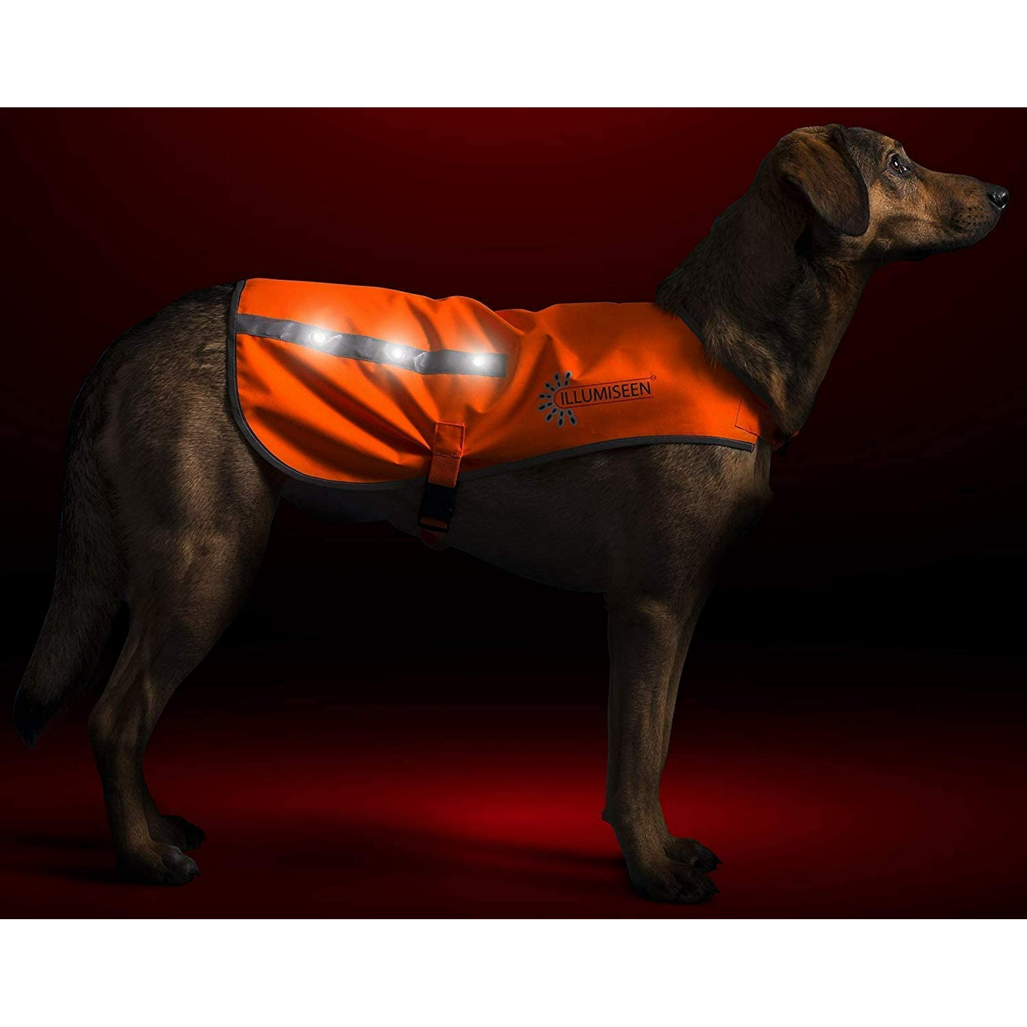 Led dog jacket sales