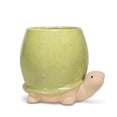 thumbnail image 1 of Ensemble de 2 Grands Cache-Pots Turtle, 1 of 1