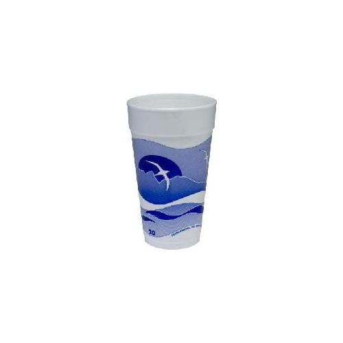 Foam Cup 20Oz Horizn 20/25