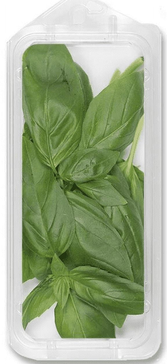 Fresh Basil Leaves Walmart