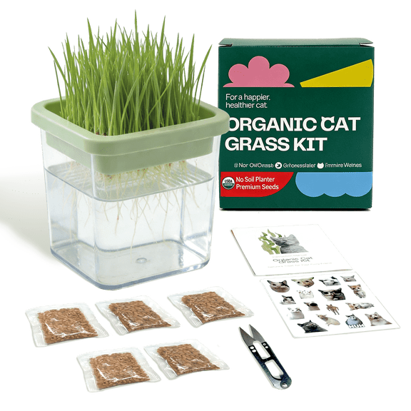Hydroponic Cat Grass Grow Kit with 5 Pack Seeds - Soil-Free Planter with DIY Stickers for Indoor, Helps Cat with Hairballs & Digestion, Live Cat Grass for Fresh